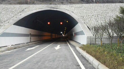 ��ͯ·�϶ι���